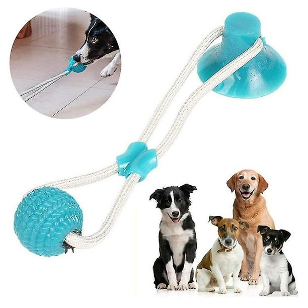 Juguete para perros con ventosa, juguete de cuerdas duradero interactivo multifunción molar para mascotas