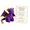 Purple Emotional Support Dragon Pocket Buddy#21, variant on Emotional Support Dragon Pocket Buddy, Soft Knitted Hand Crochet Dragon Plush Figure with Encouragement Note Card, Anxiety Relief Desktop Accessory, Sweet Sentimental Gift for Adult Friends,Green