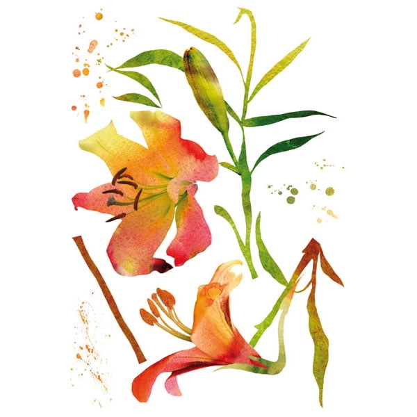 Home Decor Line Watercolor Flowers Wall Decals