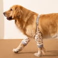 thumbnail image 2 of Harikaji Dog Elbow Protector, Dog Front Leg Recovery Protector for Prevent Licking Wound, Elbow Protectors with Mesh Pad for Medium Large Dogs Yellow 3XL, 2 of 6