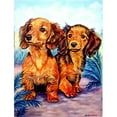 thumbnail image 1 of 11 x 15 Po. Cheveux Longs Drapeau Teckel Rouge Taille du Jardin, 1 of 1