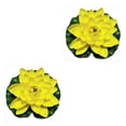 thumbnail image 1 of Flor falsa Inteprter EVA artificial loto Amarillo 2Conjunto, 1 of 6
