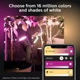 thumbnail image 4 of Philips Hue Lily White & Color Outdoor Spot Light Base kit, 4 of 5