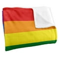 thumbnail image 3 of Pride Flag Silky Touch Super Soft Throw Blanket 36" x 58", 3 of 6
