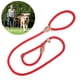 thumbnail image 1 of EeaseMX Correa de entrenamiento para perros UEETEK de nailon para mascotas (roja, diámetro de 1,4 cm), 1 of 7