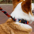 thumbnail image 3 of Flmtop Laisses pour Animaux de Compagnie Col Motifs Géométriques Impression Antidéflagrante Polyester Chien Corde de Traction pour la Marche à Moitié Conscient, 3 of 9