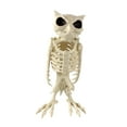 thumbnail image 2 of Dserhfy Halloween Skeleton Owl Decoration Realistic 12" Skeleton Animal Figure Plastic Owl Bone Model for Haunted House Party Decor, 2 of 8