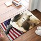 thumbnail image 1 of 4th Of July Door Mat Patriotic Doormat Entryway Rug Welcome Independence Day Doormat Stain And Fad Patriotic Decor Welcome Outdoor Mat Deals Of The Day Clearance, 1 of 8