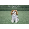 thumbnail image 2 of Chaleco polar Jacko & Co para perros pequeños y medianos, 2 of 8