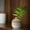 Vintage White Ribbed, variant on Ikebana Vase Bud Flower Arrangement Hydroponics Macaron Colorful Ceramic Decorative Vase