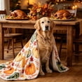 thumbnail image 2 of huayou Fall Pumpkin Print Fluffy Pet Blanket, Soft Warm Plush Fabric, Decoration, for Cat Dog All Season Rest Cover, 39.37x27.56 inch, 2 of 6