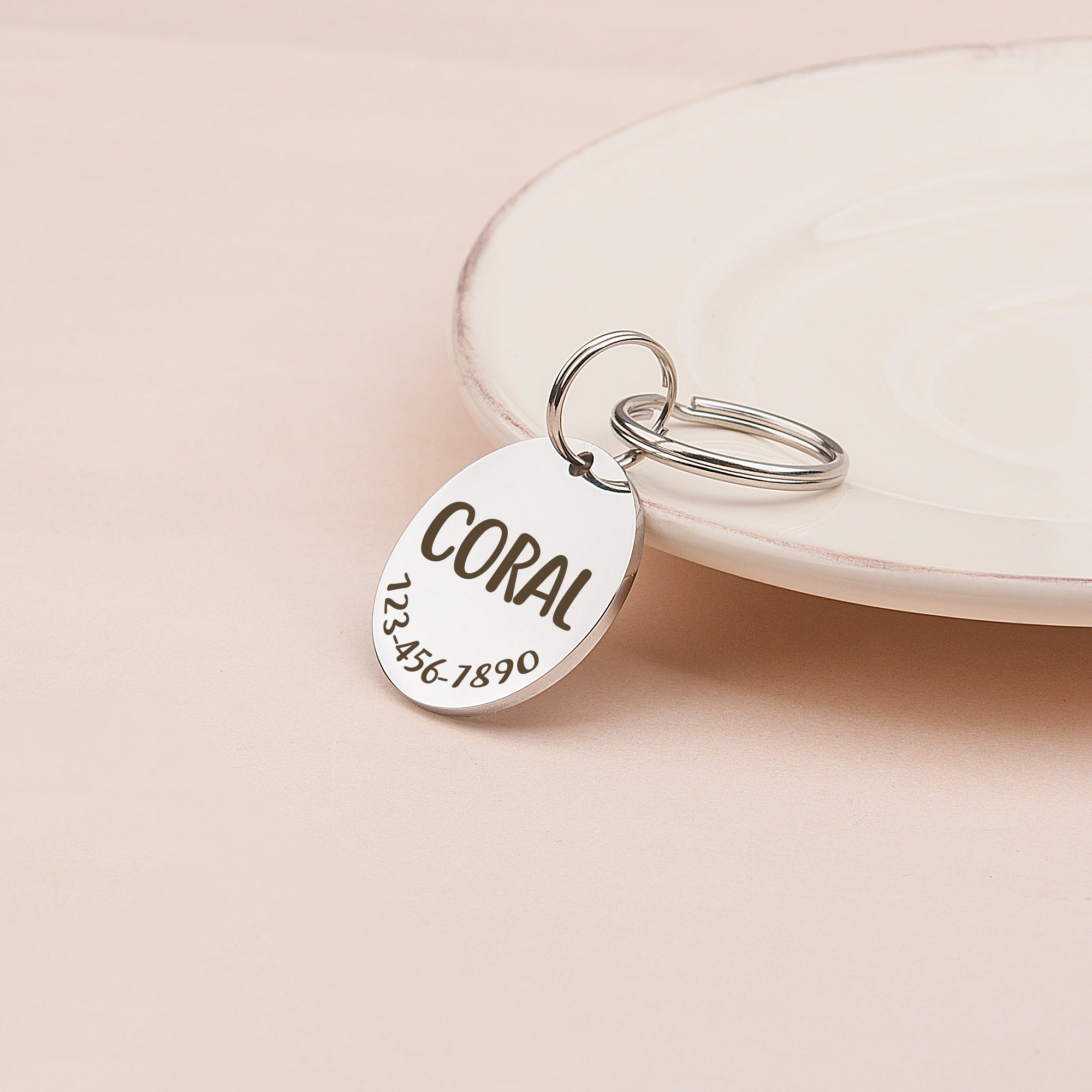 Anavia Stainless Steel Metal Round Name - Phone Number Birthday Holiday Christmas Engraved Dog Cat ID Tag, Silver