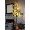 thumbnail image 4 of Sapin de Noël, 4 of 6