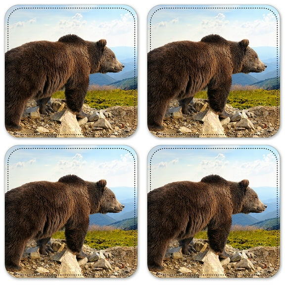 Vinyl Drink Coasters - Set of 4 - Brown Bear