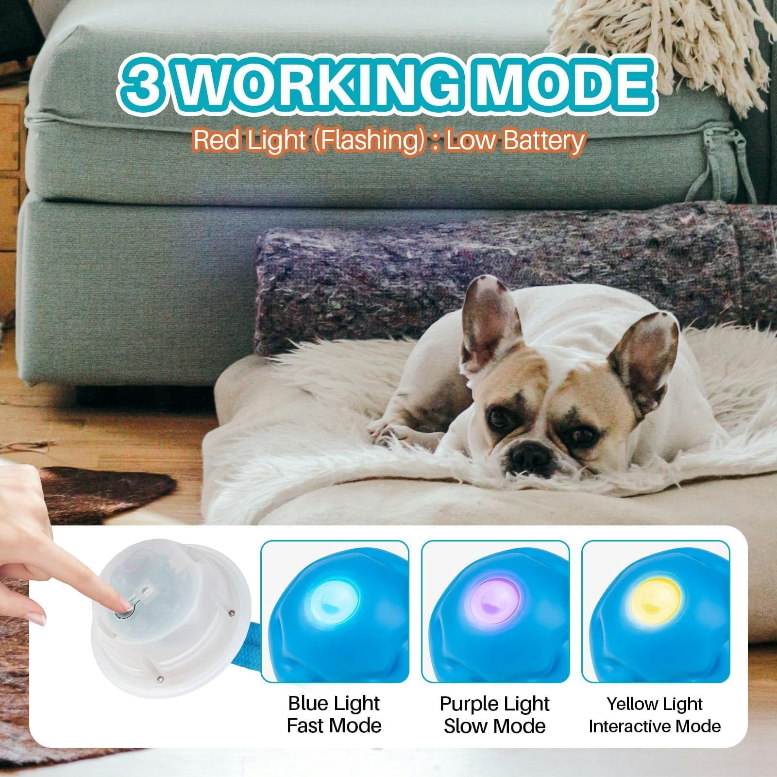 Interactive Dog Ball, Motion Activated Moving Dog Toy, Smart Rolling Electric Dog Toy with Sound, USB Type-C Rechargeable Stimulating Dog Toys for Dogs Interactive Play, Chase Buddy Dog Toy