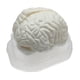 thumbnail image 1 of Modelo de Cerebro , Juguete de Anatomía, Equipo de Enseñanza Escolar, Juguetes de para Niños, 1 of 8