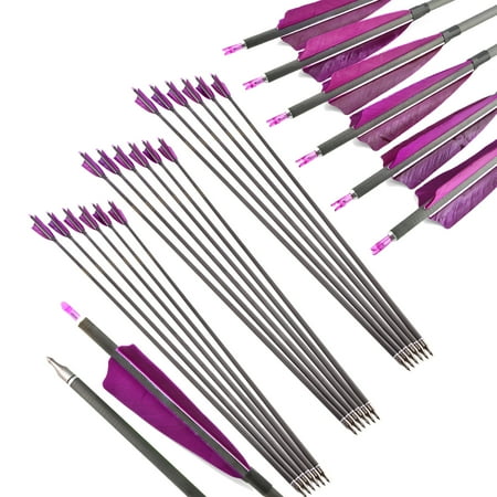 AMEYXGS 6pcs Archery Real Feather Mixed Carbon Arrow 500 Disturbance 30 inchCompound Bow Recurve Bow Shooting