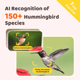 thumbnail image 3 of Birdfy Humming Bird Feeder with Camera, 1080P FHD Hummingbird Feeder Camera with Ant Moat, 9000 mAh rechargeable bird camera, AI Identify Bird Species, Leak Proof, Ideal Gift, 3 of 10