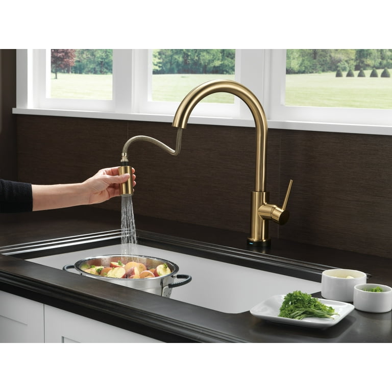 Delta Trinsic Single Handle Pull-Down Sprayer Kitchen Sink