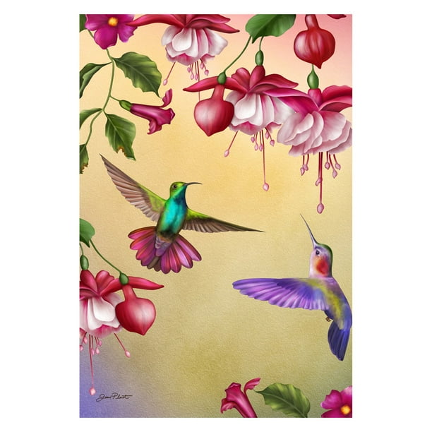 Toland Home Garden Thirsty Hummingbirds Flag Walmart Com Walmart Com