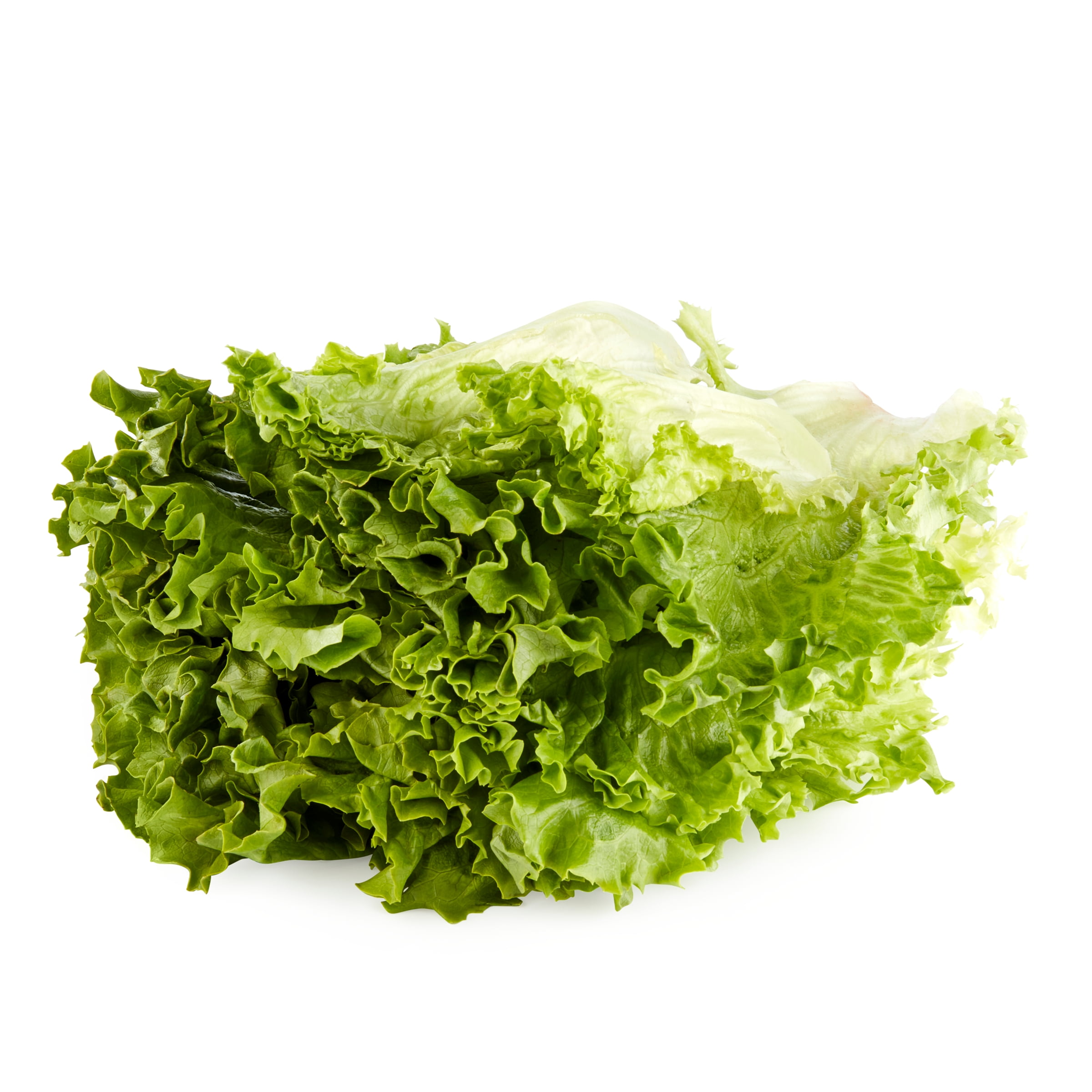 Green Leaf Lettuce Filet, 7 oz