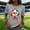 Light Ashy, variant on Shirts for Women Usa Soccer T-shirt Women Soccer Star   Soccer Shirts for Women Usa Soccer Fan   Funny Soccer Graphic Short Sleeve Shirt Soccer Event T Shirt Usa Flag Soccer Shirt