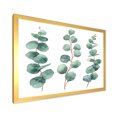 thumbnail image 2 of Designart 'Young Eucalyptus Branches and Leaves I' Traditional Framed Art Print, 2 of 4