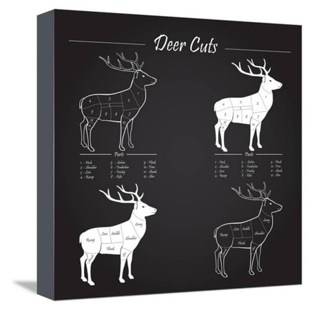 Deer Meat Cut Scheme Stretched Canvas Print Wall Art By