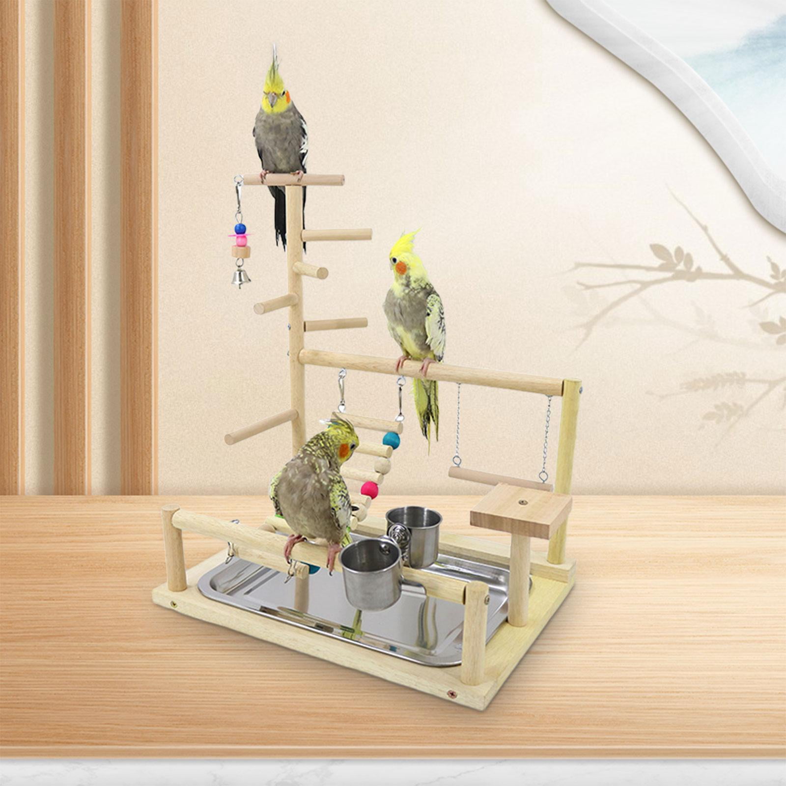 Stgfyxgs Birds, Parrots, Playground, Birds, Hanging Toys, Exercise Activity Center, Playing, Standing, Bird Play Hall, Wooden Play Stand for Parakeets