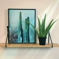 thumbnail image 5 of Element Live Plant Aloe Vera Plant in 4in Pot, 5 of 9