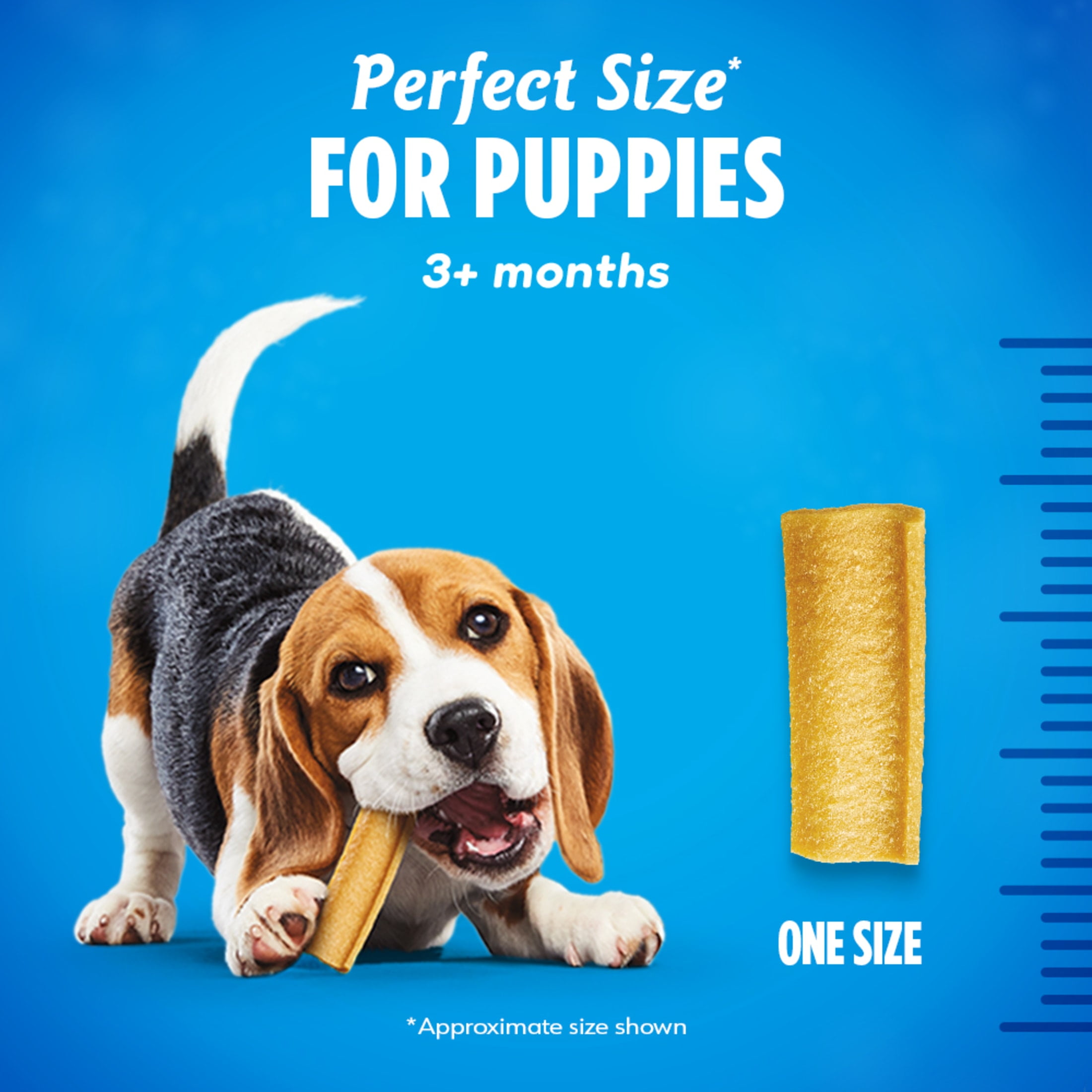 (6 pack) Purina DentaLife Chicken Flavored Puppy Teething Dental Chews