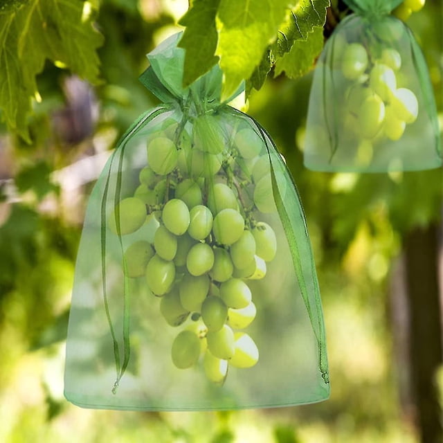 Bolsa de protección de manojo de 100 piezas 30x2 0 cm/23x17 cm bolsa de Organza de fruta de uva con cordón que brinda protección Total contra avispas pájaros y ot