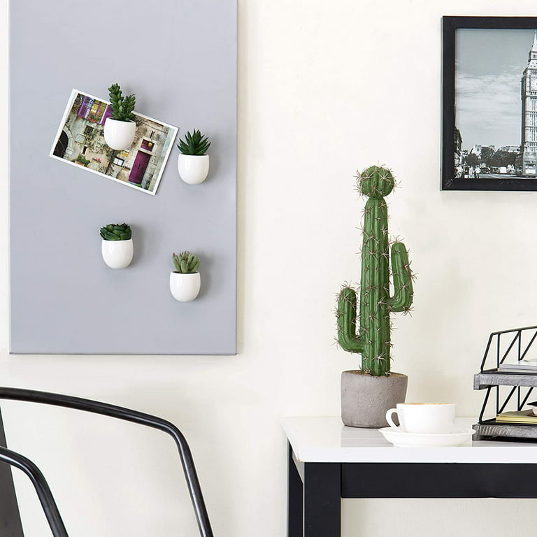 Artificial Mini Succulent & Cactus Plants, Set of 4 – MyGift