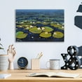 thumbnail image 3 of Epic Art 'Lily Pads II' by Tim O'Toole, Acrylic Glass Wall Art, 16"x12", 3 of 3
