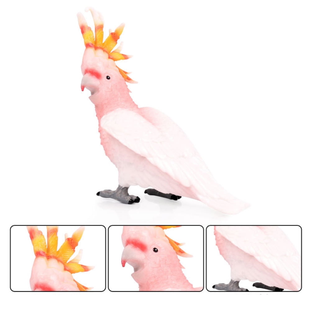 Details about   10 Pieces Realistic Bird Model Plastic Animals Figurines Toy Set Cockatoo, 