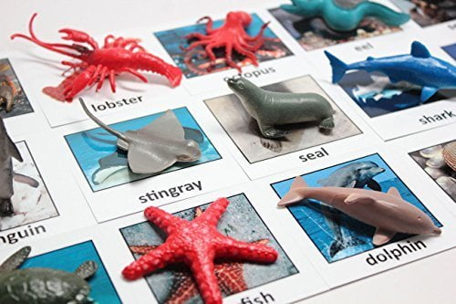 Ocean Sea Dolphin Lobster  Mini Match Box Set  Hand Cut Wooden  Miniature Toy 