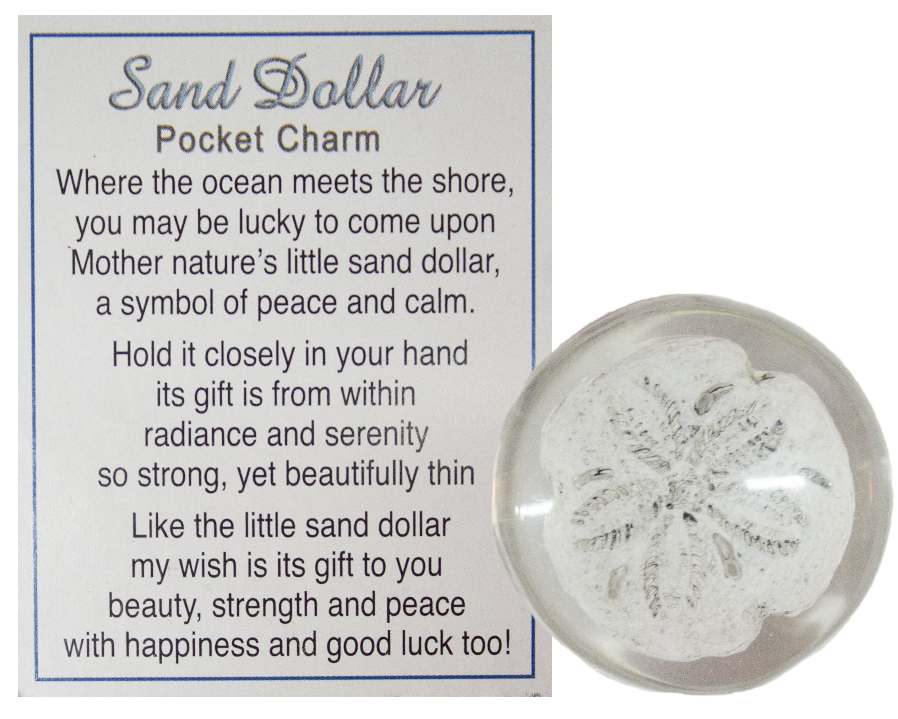 Painting seashells with sharpies image