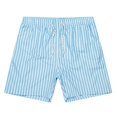 thumbnail image 1 of Rumantou Mens Swim Trunks with Compression Mens Dissolving Swim Trunks Men's Waist Drawstring Swimming Shorts Swimwear with Mesh for M,Light Blue, 1 of 5