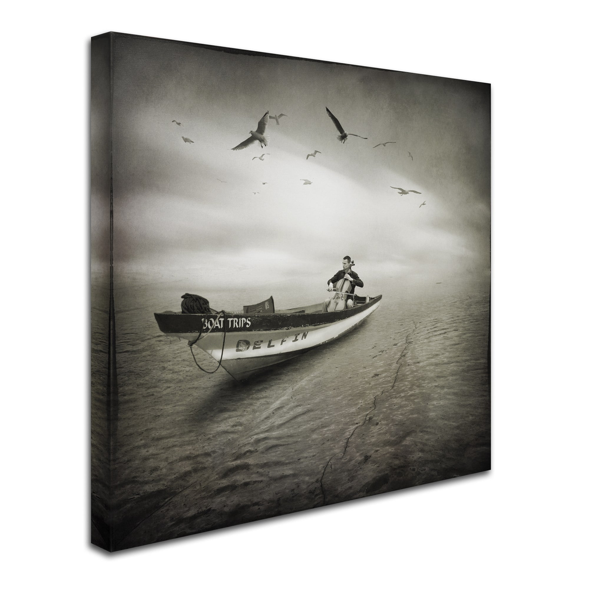 Trademark Fine Art "Cello Sophia" Canvas Art by Moises Levy