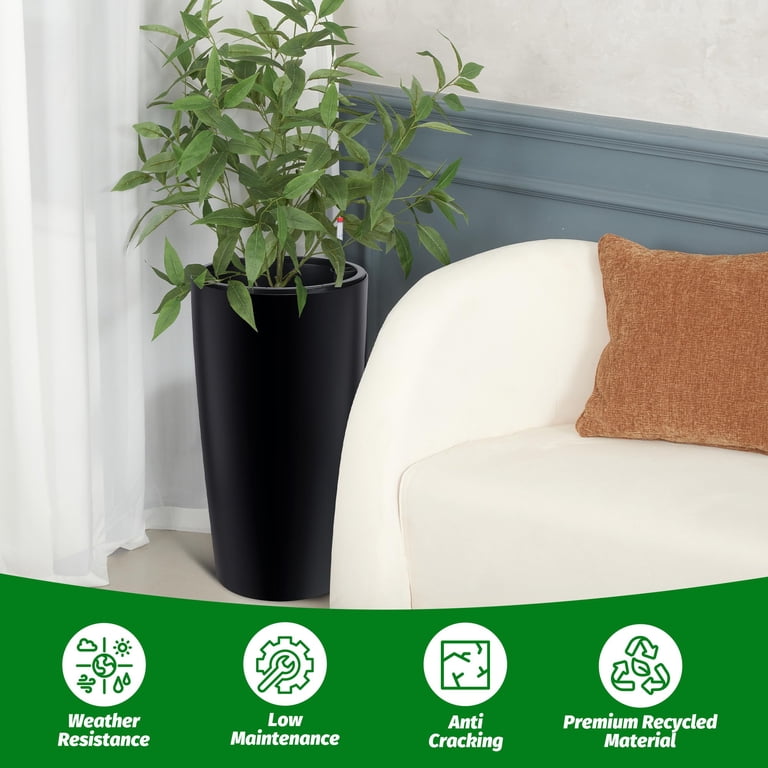 albo dieffenbachia Dieffenbachia 'Memoria Corsii' | Plants