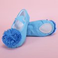 thumbnail image 6 of jianru Ballet Shoes for Girls Elastic Straps Non Slip Soft Sole Floral Canvas Professional Dance Shoes for Toddler Kids, 6 of 9