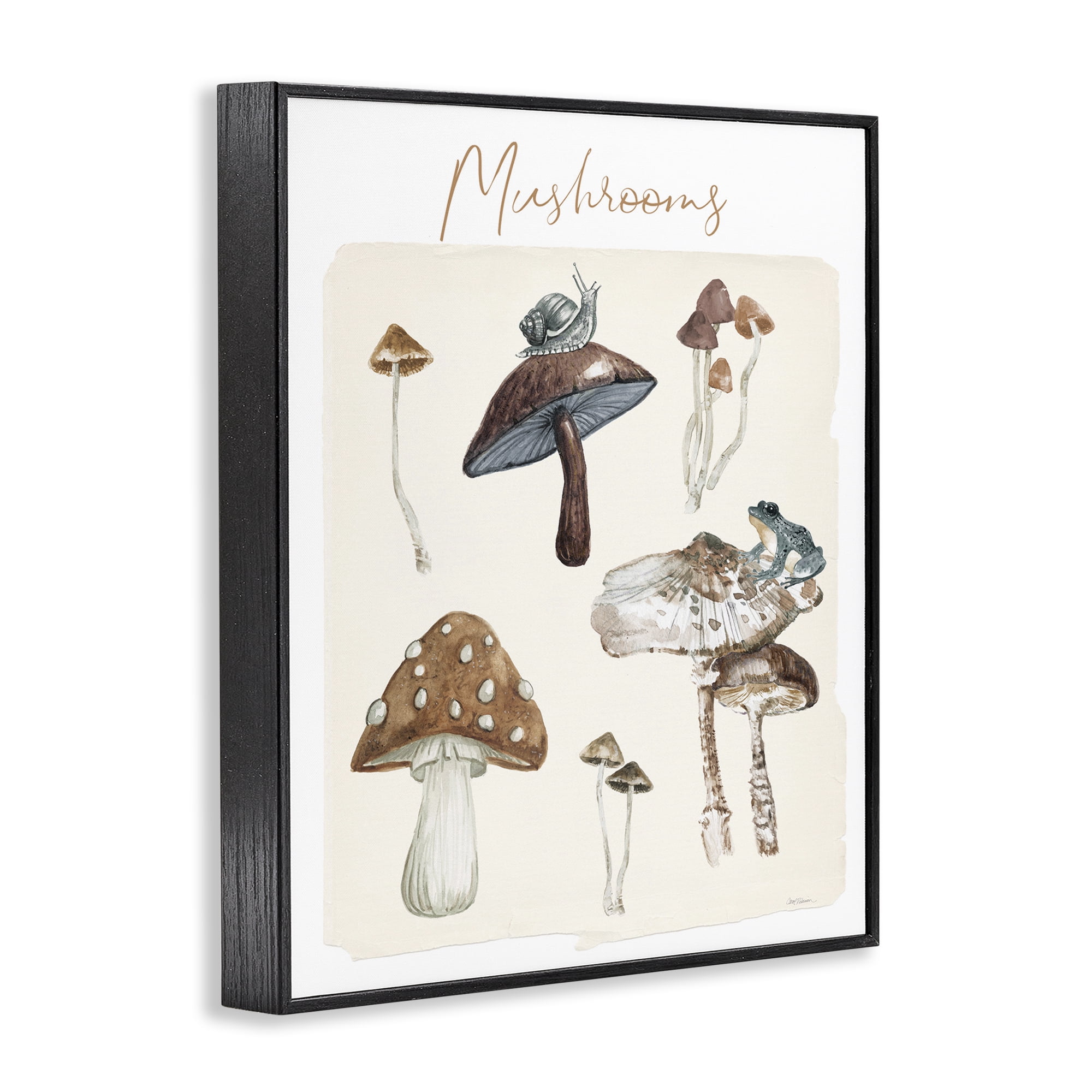 Stupell Industries Assorted Mushrooms Study Botanical & Floral Painting Black Framed Art Print Wall Art, 24 x 30