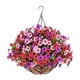 thumbnail image 1 of Cesta colgante de flores artificiales para centros de mesa, colgador de plantas, planta colgante B, 1 of 9