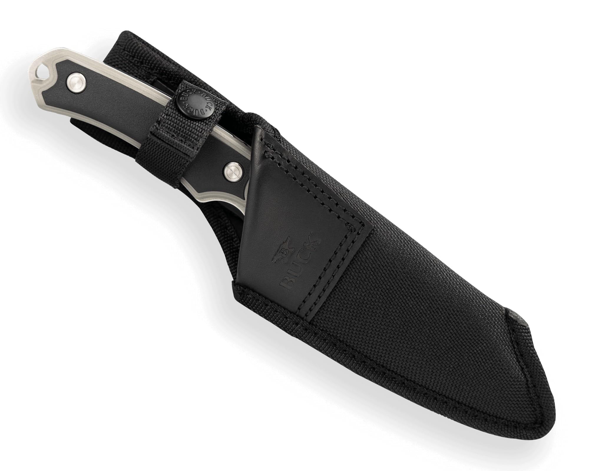 Buck Knives 663 Alpha Guide Select Fixed Blade Hunting Knife with 420HC Steel, Gray