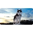 thumbnail image 1 of Siberian Husky Photo License Plate, 1 of 1