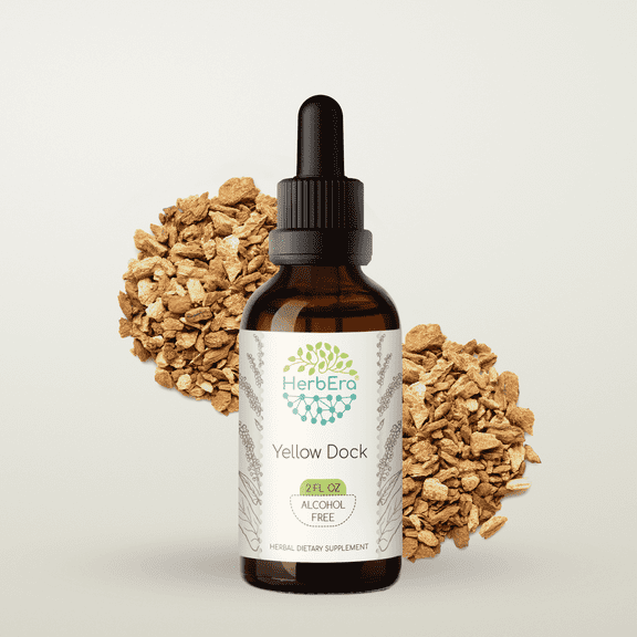 HerbEra Yellow Dock Tincture, Herbal Dietary Supplement for Digestive Support, Yellow Dock (Rumex crispus) Dried Root Extract, Natural, Alcohol-Free, Drops 2 oz