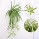 thumbnail image 4 of Flor artificial, orquídea colgante artificial, enredadera artificial, material para pared, decoración de pared, mimbre artificial, verde, 4 of 6