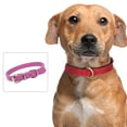 thumbnail image 4 of Dog Collar Leather Puppy Collars Adjustable Dog Collars fo Small Dogs Multicolor Pet Collar, 4 of 5
