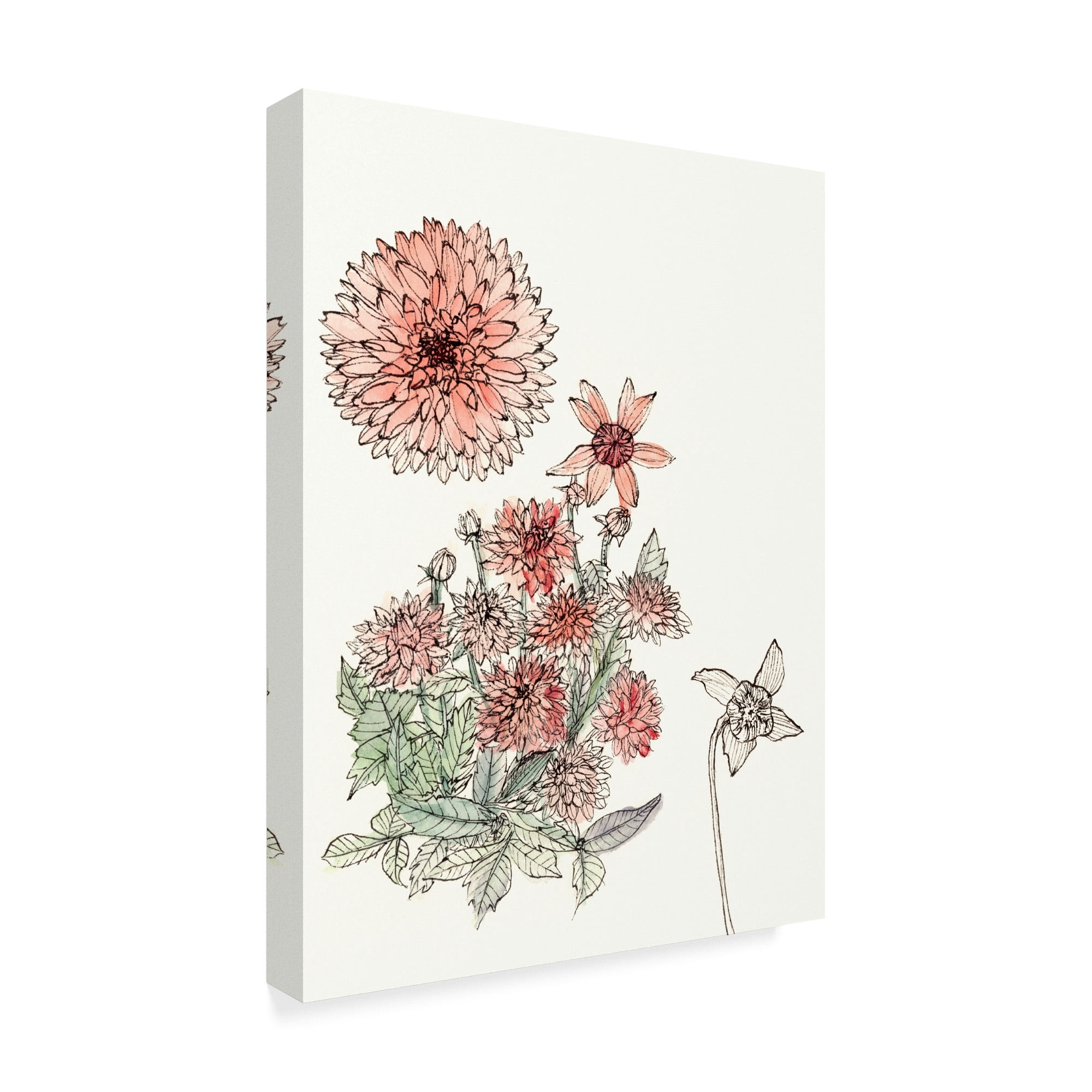 Trademark Fine Art 'Dahlia Study' Canvas Art by Melissa Wang