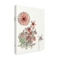 thumbnail image 2 of Trademark Fine Art 'Dahlia Study' Canvas Art by Melissa Wang, 2 of 4